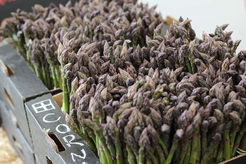 The Cornish Food Box
